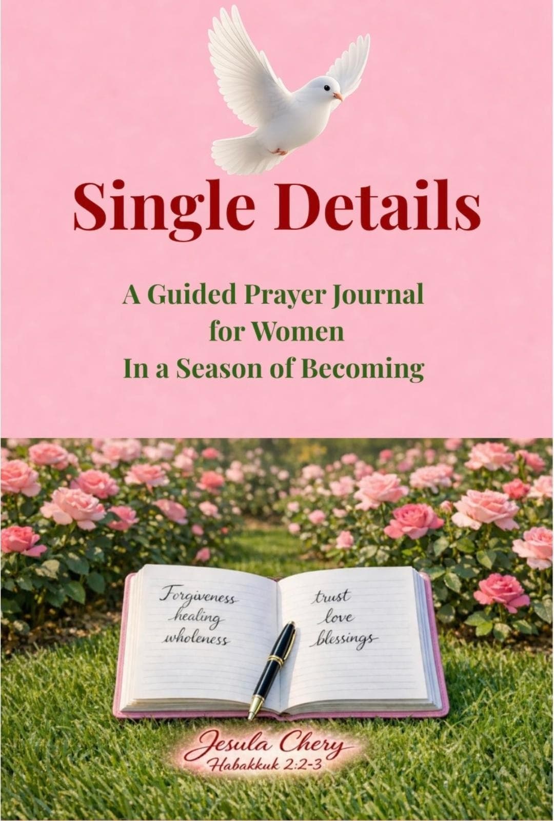 Single Details Prayer Journal